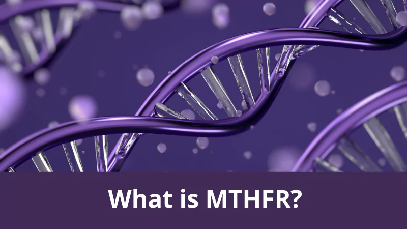 What is MTHFR?
