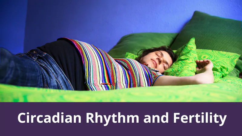 Circadian Rhythm and Fertility