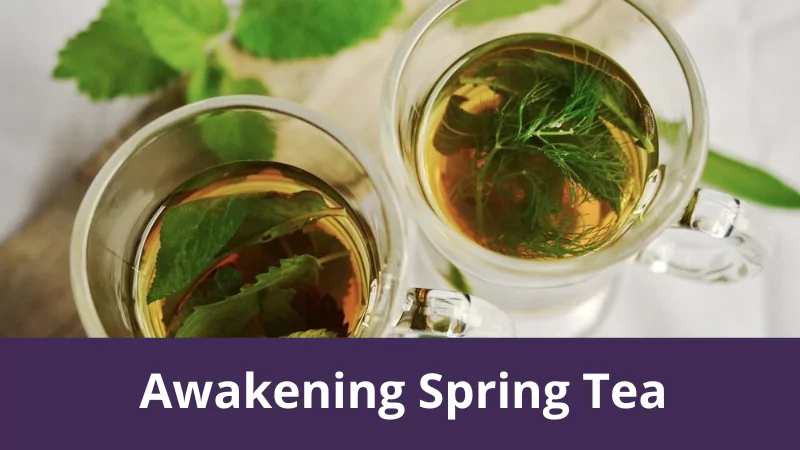 Awakening Spring Tea