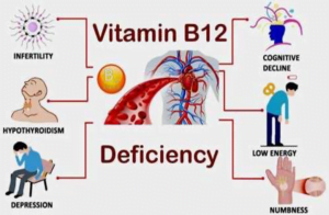 Vitamin B12 - The ever-important nutrient. What might your genetics tell you?