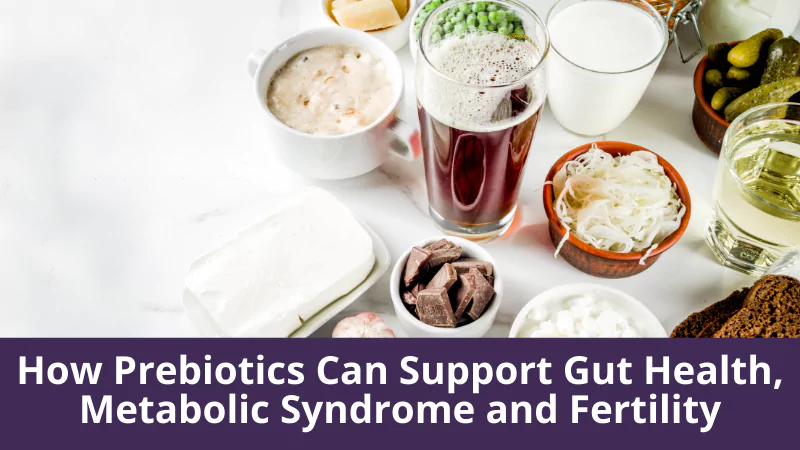 How Prebiotics Can Support Gut Health, Metabolic Syndrome and Fertility