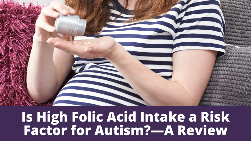 Is High Folic Acid Intake a Risk Factor for Autism
