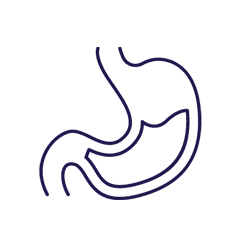 Gut Health & Detox
