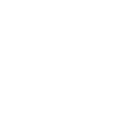 Gut Health & Detox