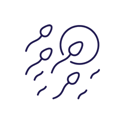 Infertility & Miscarriage