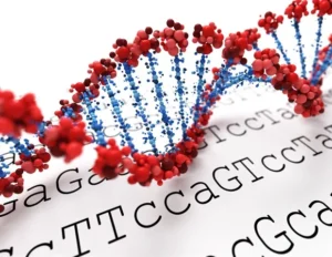 Genetics