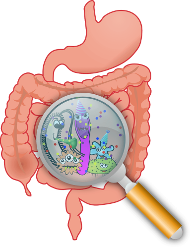 inflamatory inflamatory